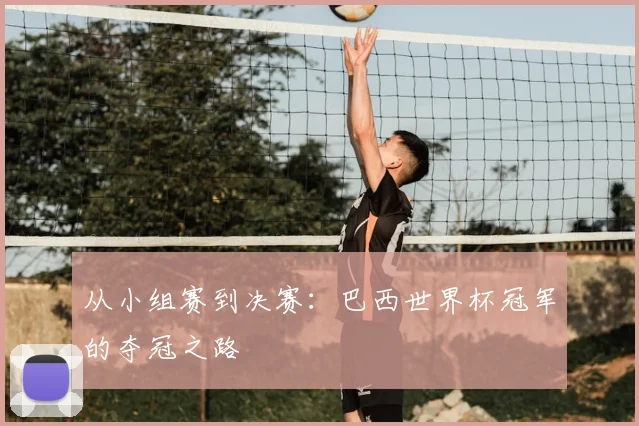 从小组赛到决赛：巴西世界杯冠军的夺冠之路